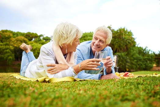 Cheers to us. a senior couple enjoying a picnic in a park.