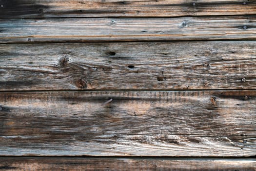 Texture of old wood. Background image.