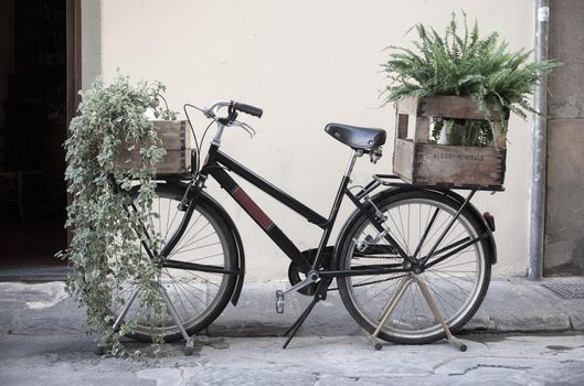 Boxes with plant on Bycicle