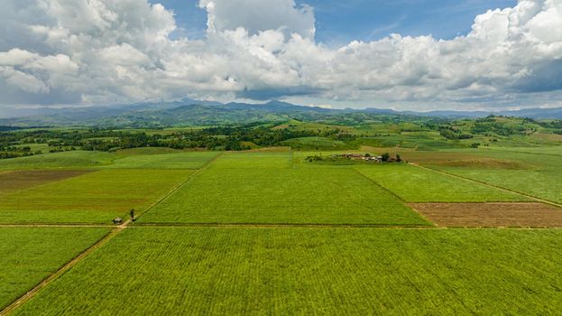 Agricultural land in the tropics.