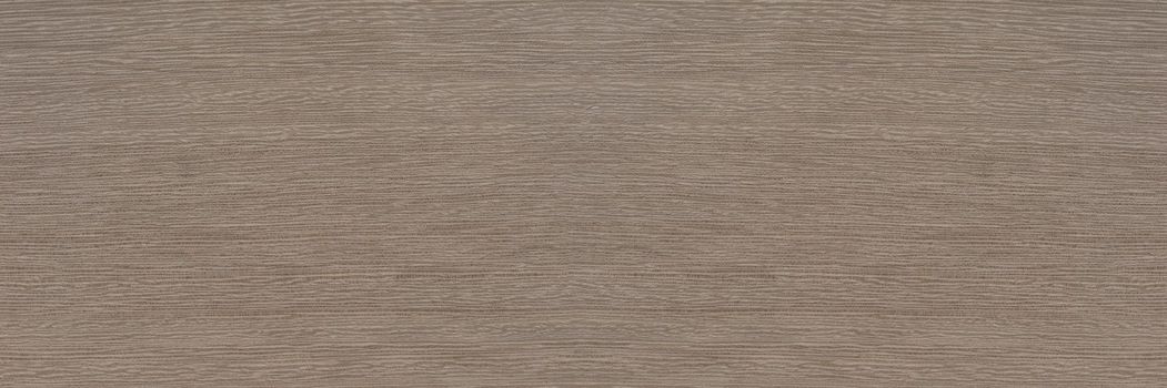 Texture of exotic wood. Close-up of the texture of lati wood, the structure of the breed of the aurican tree lati silver ash color.