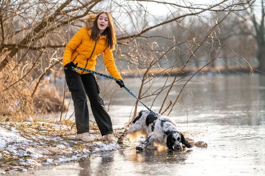a girl with her dog by a frozen lake. english setter