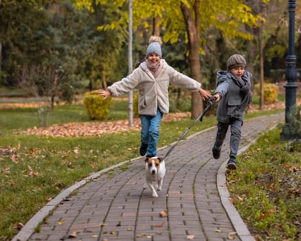 Brother and sister walk the dog in the park in autumn. Boy and girl running with jack russell terrier on a leash.