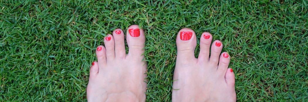 Barefoot female feet with red nails stand on green grass