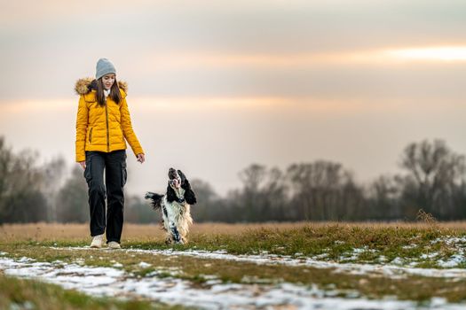 girl with her dog on a walk at sunset in nature. english setter