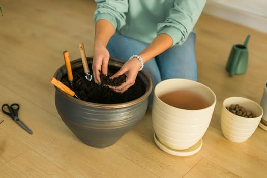 Woman close up transplanting green plant into new pot. Houseplant and home gardening concept