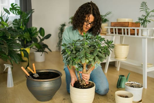 Woman transplanting green plant into new pot. Houseplant and home gardening concept