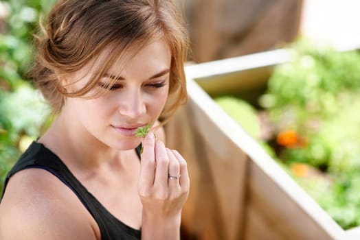 Loving the smell of fresh herbs. A young woman smelling herbs in her garden.