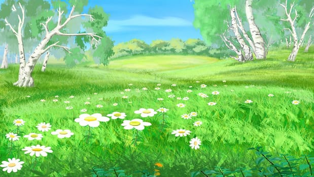 Daisies in the meadow illustration