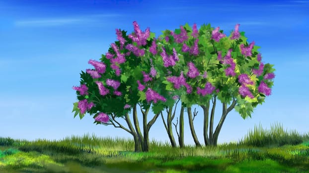 Lilac Trees illustration