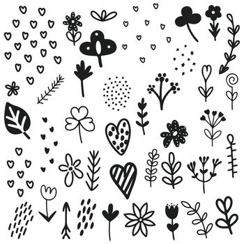 Hand drawn botany design elements in doodle style