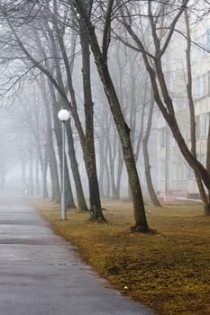 Fog in the autumn park in morning