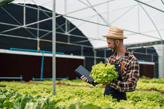 Owner of the hydroponics vegetable garden is checking the quality of the vegetables and checking or recording the growth of the vegetables in the garden, Vegetables in the greenhouse.