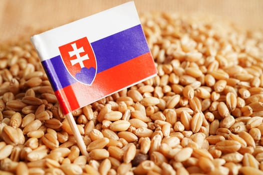 Slovakia on grain wheat, trade export and economy concept.