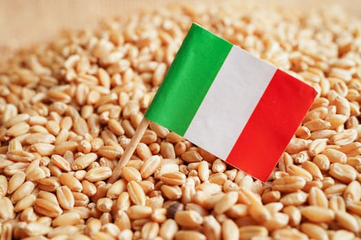 Italy on grain wheat, trade export and economy concept.
