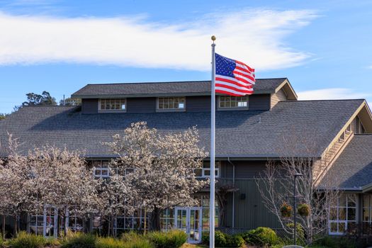 American flag flies in front of cherry blossoms and local government building