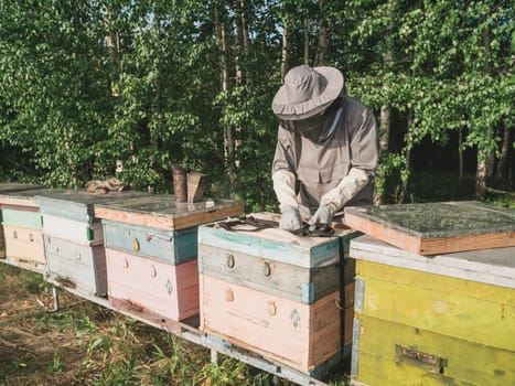 Beekeeper holds a honey cell with bees in his hands. Apiculture and apiary concept