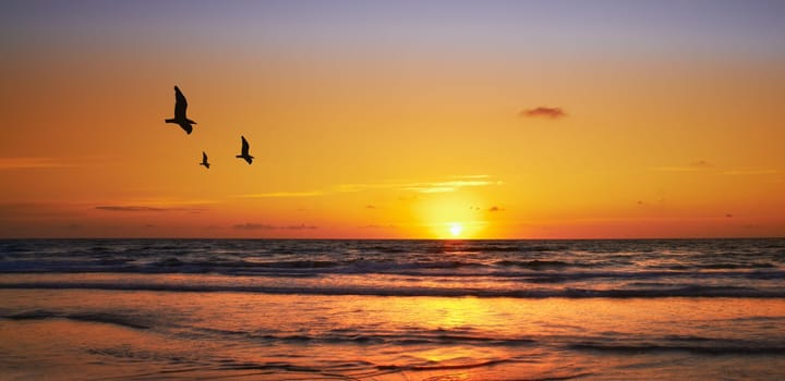 Sunset coast and beach - Jutland, Denmark. Sunset at Beach and ocean - Jutland, West Coast, Denmark.