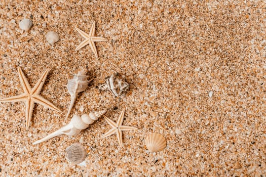 Sand shells background. Summer time concept with sea shells and starfish on the sand