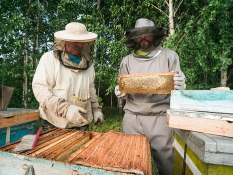 Beekeeper male working collect honey. Beekeeping concept.
