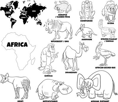 educational illustration of African animals coloring book page