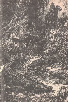 Black and white illustration shows a man on horseback in a jungle full of crocodiles. Drawing shows a South American rainforest. Vintage black and white picture shows adventure life in the previous century. Life in the 19th century