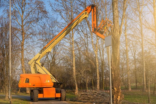 Seasonal tree pruning with a lifting work platform of car crane. Cutting branches in park