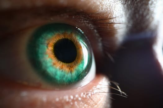 Perfect macro of grey-green eye and perfect vision