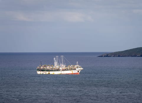 Korean fishing ship equipped for attracting squid in Stanley