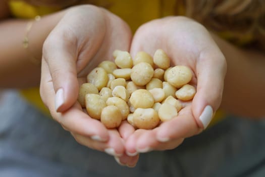 Macadamia nuts. Close-up of woman hands holding a handful of macadamia nuts.