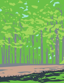 Forest in Shenandoah National Park Virginia WPA Poster Art
