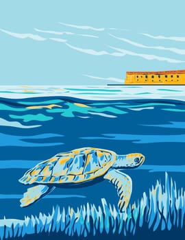 Loggerhead Sea Turtle in Dry Tortugas National Park in Florida WPA Poster Art