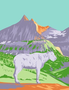 Mountain Goat or the Rocky Mountain Goat in Glacier National Park Montana WPA Poster Art
