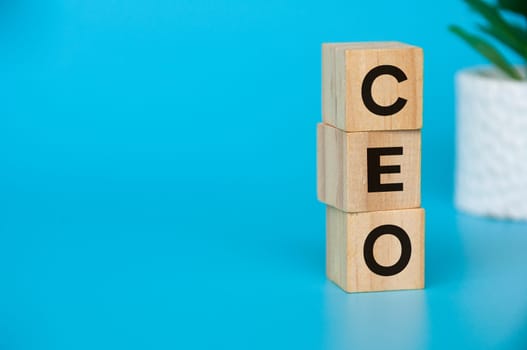 CEO text on wooden blocks with customizable space for text or ideas. Copy space concept.