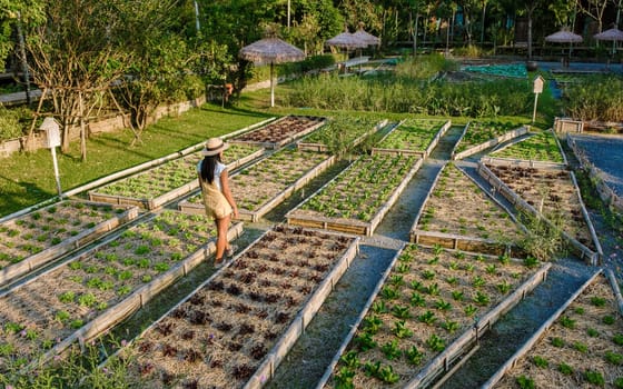 Asian women with saladin a Community kitchen garden. Raised garden beds with plants garden