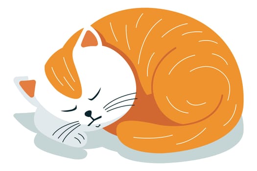 cute sleeping red cat. the cat will curl up.