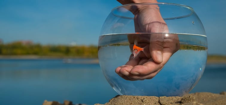 A woman catches a goldfish from a round aquarium on the sand on the lake.