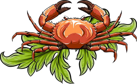 Crab isolated on white background. vector illustration