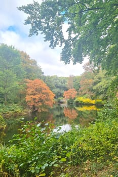 A small lake in a green park. Outdoor recreation in the city.
