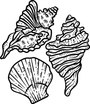 Summer Sea Shells Line Art Coloring Page for Adult