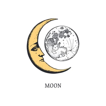 Crescent vector illustration. Moon