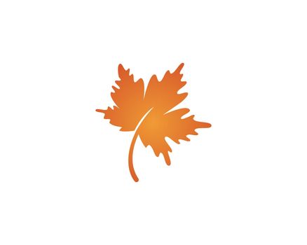 oak leaf icon vector design 