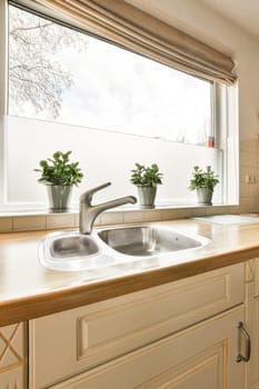 a kitchen sink and window with plants on the sill