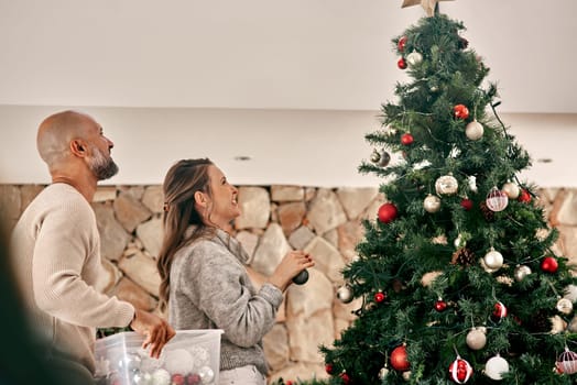 Mature couple, tree decorating and Christmas celebration in living room, family home and house for happy celebration event. Man, woman and festive holiday time, festive lights and bauble decoration.