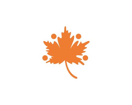 oak leaf icon vector design 