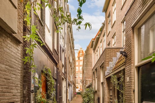 a narrow street with brick buildings and plants