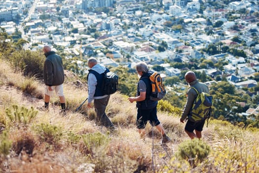 Hiking, city and group of old men on mountain for fitness, trekking and backpacking adventure. Explorer, discovery and expedition with friends mountaineering for health, retirement and journey