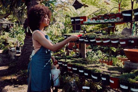 Black woman, garden and spray pesticide for plants, vegetation and against bugs outdoor. Ecofriendly, African American girl and female gardener use liquid to remove harmful species and protect growth