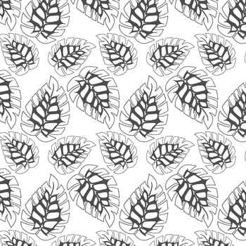 Black and white pattern of monstera tropical leaves. Hand drawn doodle.