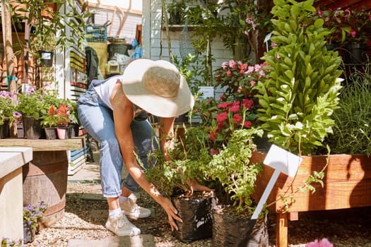 Plant, flowers and woman with small business gardening for eco friendly, sustainability and floral industry working on green growth. Garden worker, seller or supplier of flower or plants spring sale